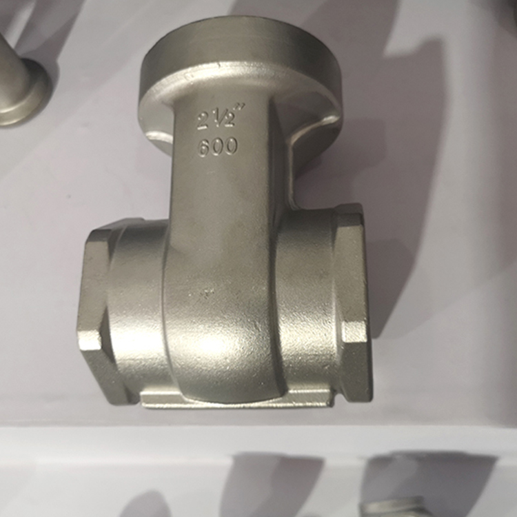 Stainless Steel Valve Casting